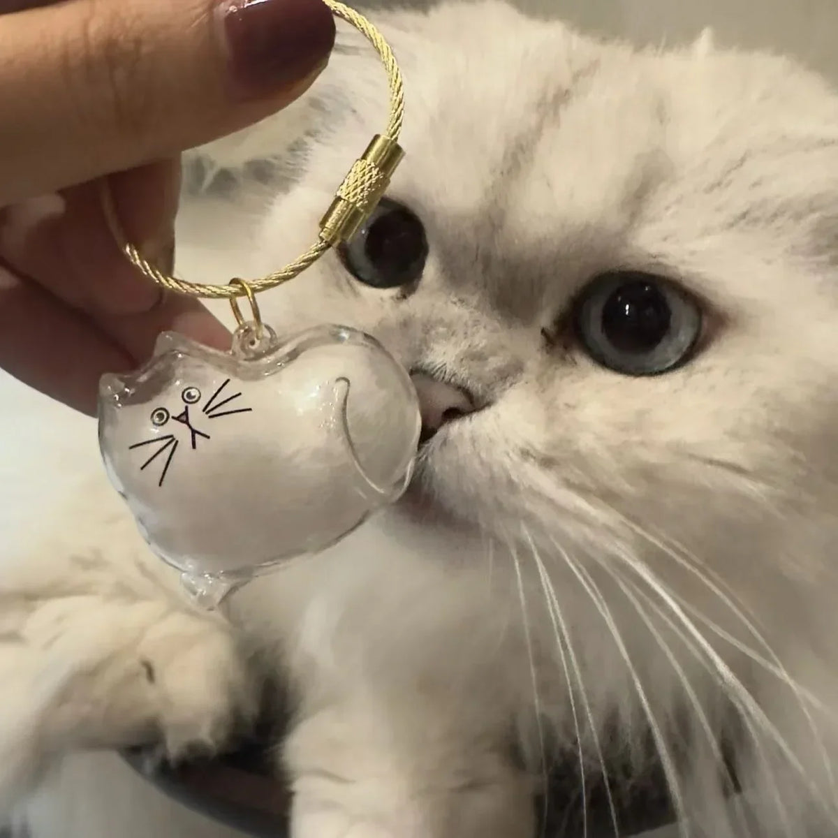 1-40PCS Transparent Cat Fur Display Capsule Toy Pet Hair Memorial Keepsake Pendant with Keychain Memorial Bag