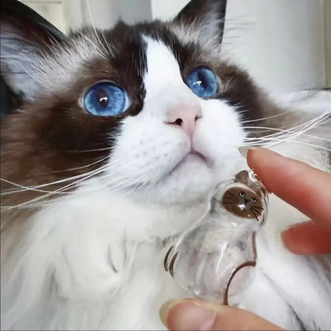 1-40PCS Transparent Cat Fur Display Capsule Toy Pet Hair Memorial Keepsake Pendant with Keychain Memorial Bag
